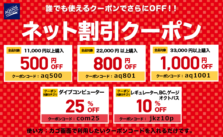 誰でも使えるネット割引クーポンでさらにOFF!