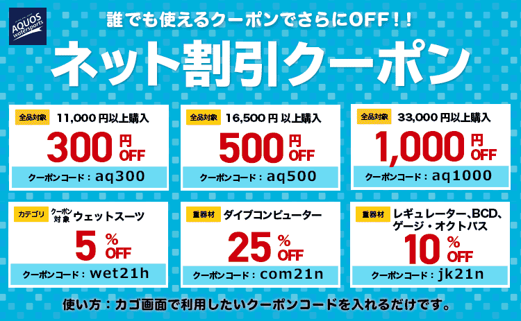 誰でも使えるネット割引クーポンでさらにOFF!
