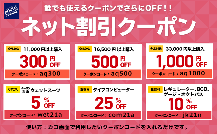 誰でも使えるネット割引クーポンでさらにOFF!