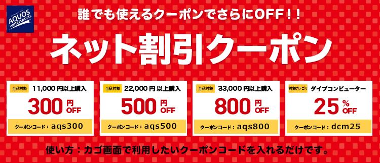 誰でも使えるネット割引クーポンでさらにOFF!