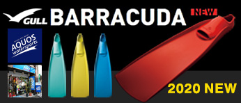 バラクーダ究極のラバーフィンbarracuda2020