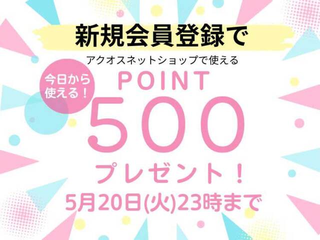 ポイントプレゼント
