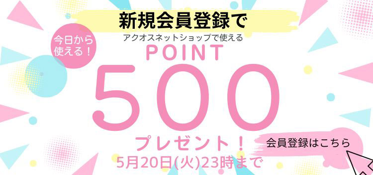 ポイントプレゼント