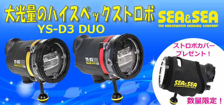 SEA&SEA（シーアンドシー）YS-D3 DUO ストロボ/激安！ダイビング器材