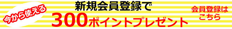 ポイントプレゼント